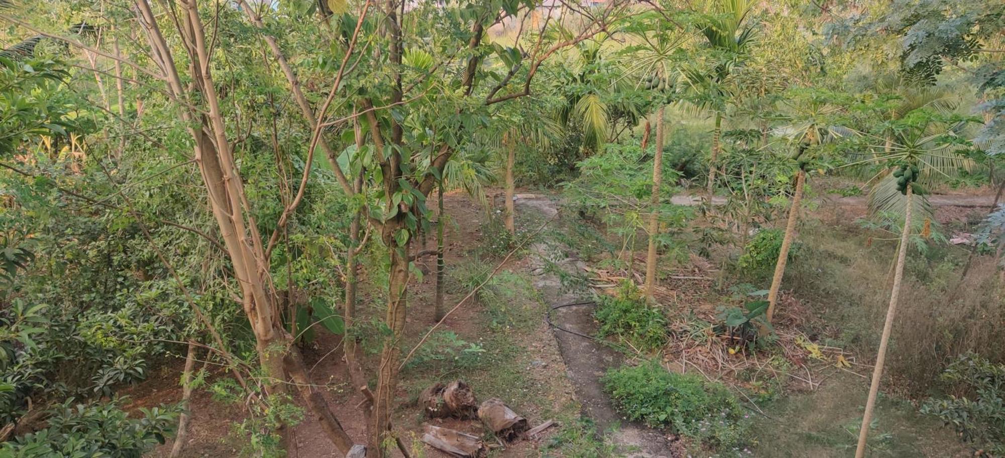 Gulmohar Cottages - Home Stay In Alībāg Exterior foto